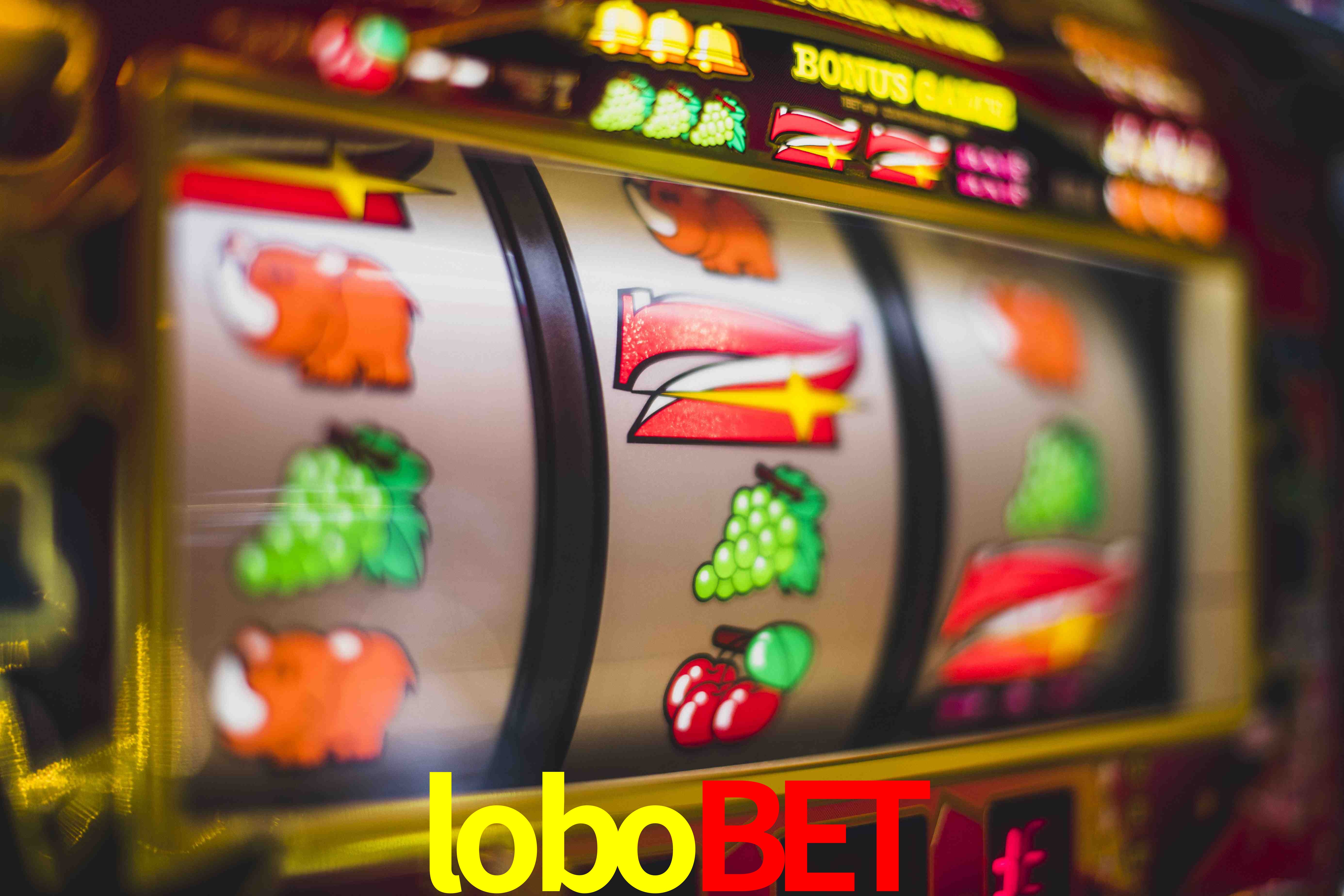 Tennis Betting lobobet